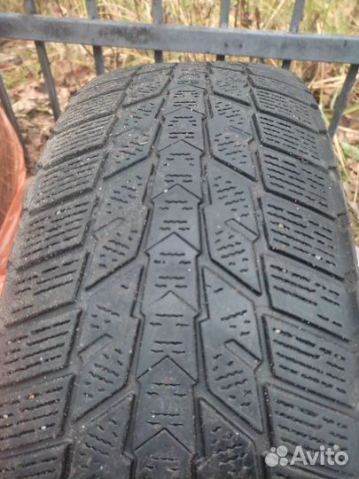 Nexen Winguard Ice Plus 195/65 R15 95T