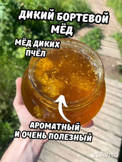 Невкусный Дикий мед