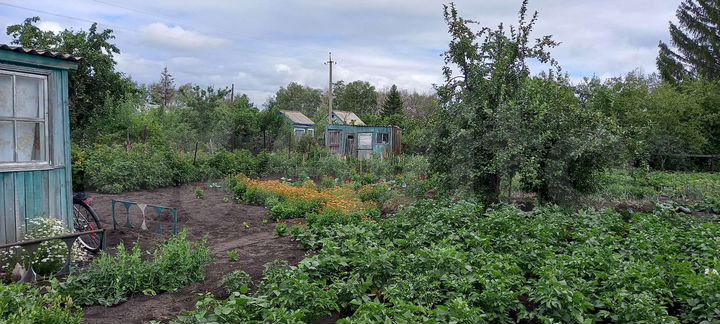 Дом 20 м² на участке 6 сот.