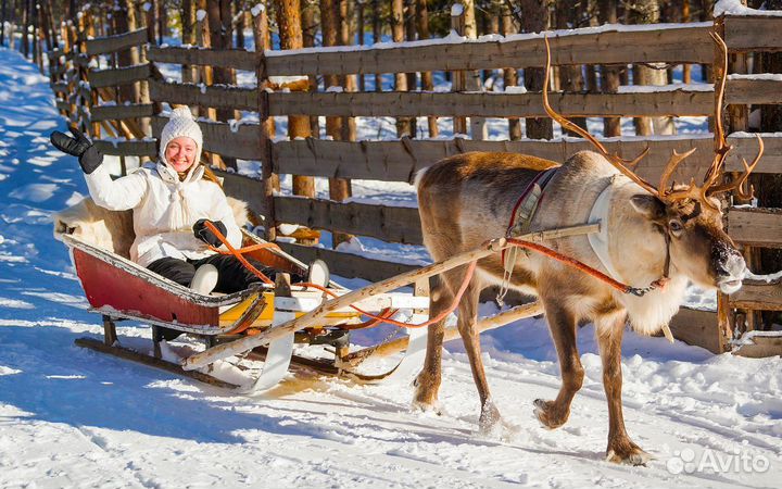 Гран тур в Карелию на 2 дня