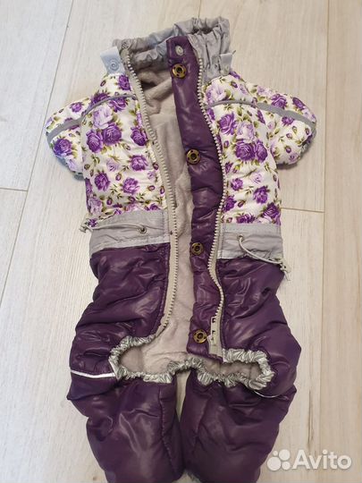 Костюм для маленькой-средней собачки