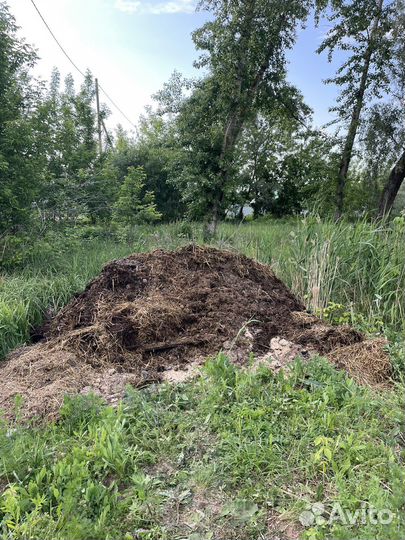 Конский навоз на сене