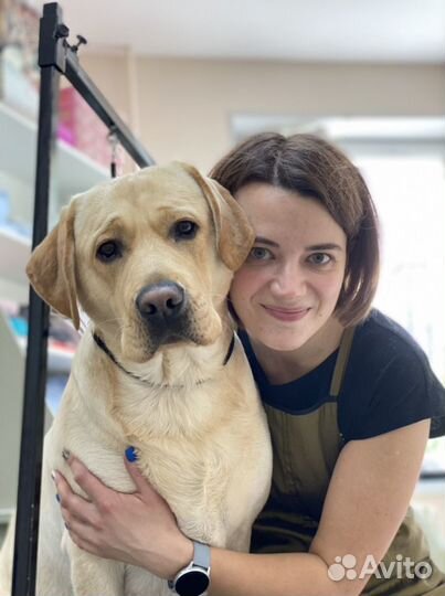 Курсы груминга со стажировкой. Индивидуальные