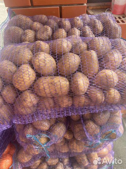 Продам свою, яблоки, лук, картофель