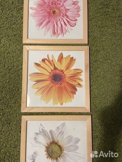 Картины и постеры IKEA