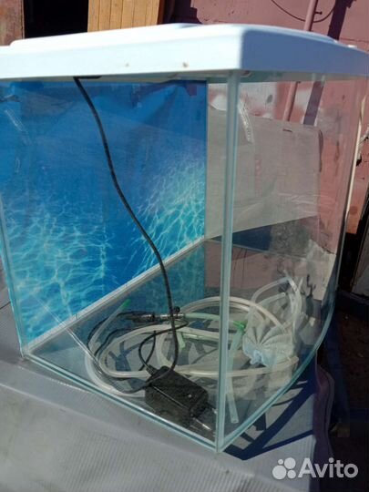 Аквариум