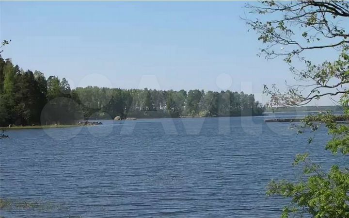 Участок 19,5 сот. (ИЖС)