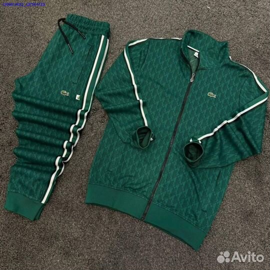 Спортивный костюм lacoste (Арт.54544)