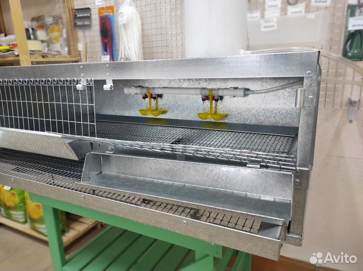 Клетки для перепелов (на 15, 30, 40 голов)