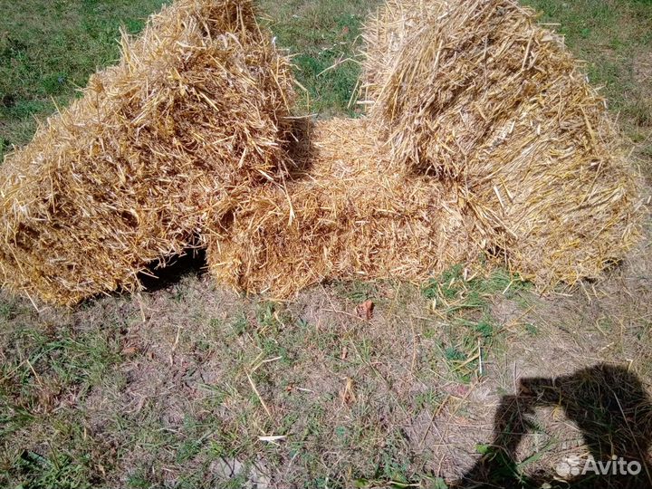 Солома,сено