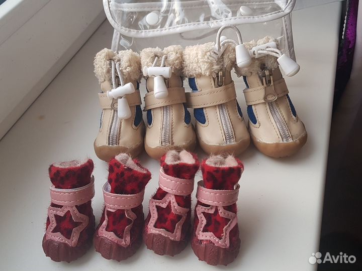 Обувь для маленьких собак