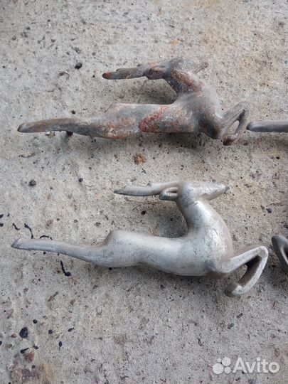 Олень на волгу 21