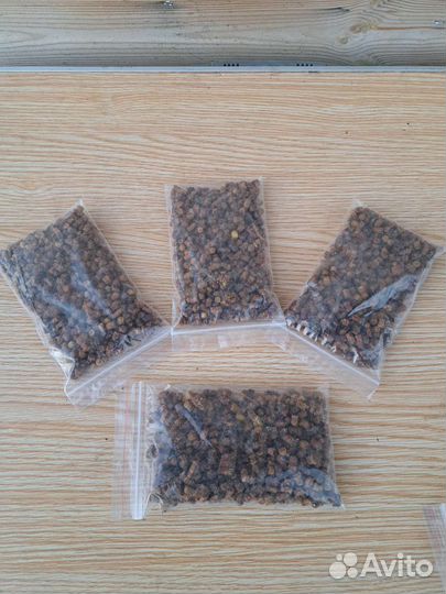 Перга урожай 2023