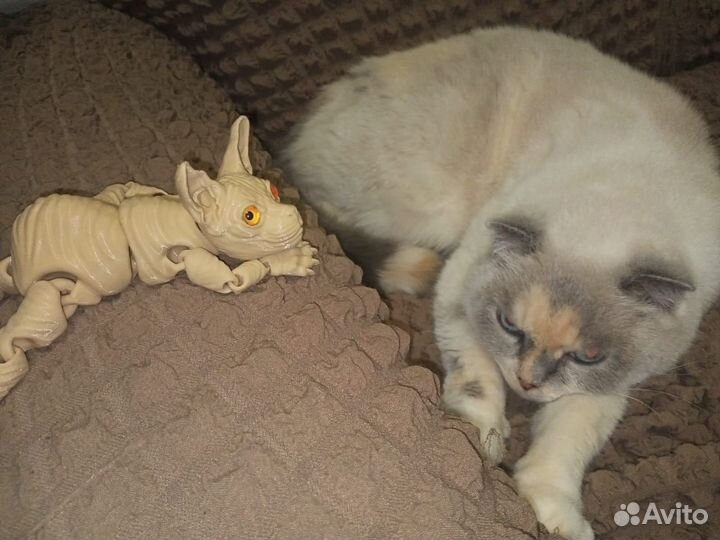 Игрушка антистресс кот