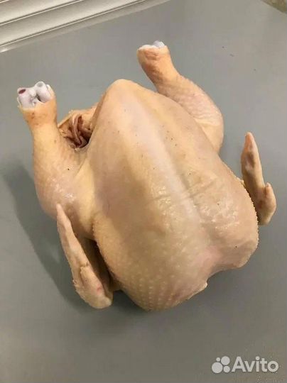 Мясо домашних цеплят