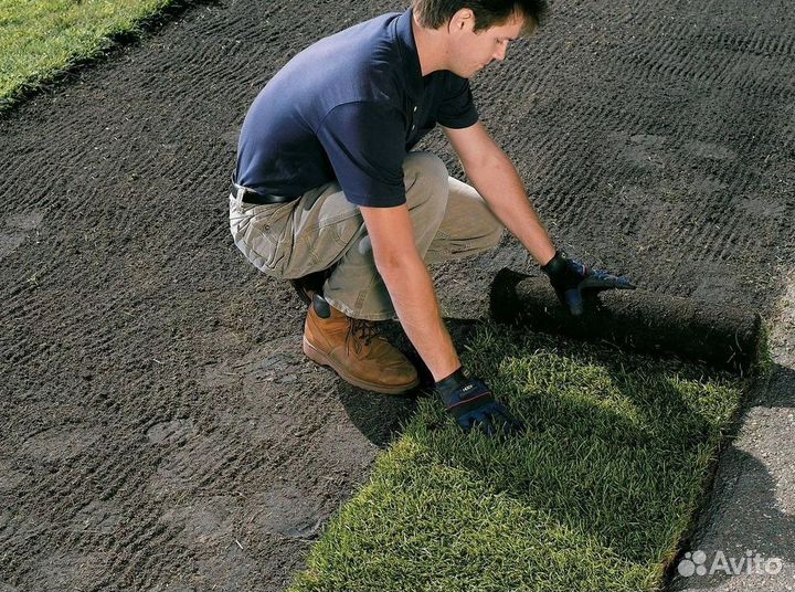 Газон рулонный