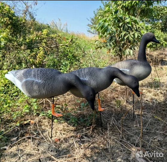 Чучела гусей гуменника 3D 10 шт