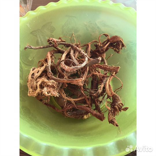 Красный корень