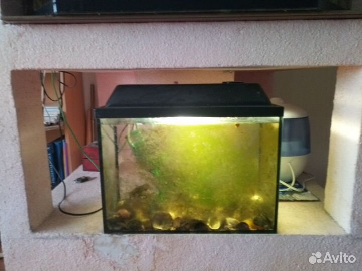 Аквариум