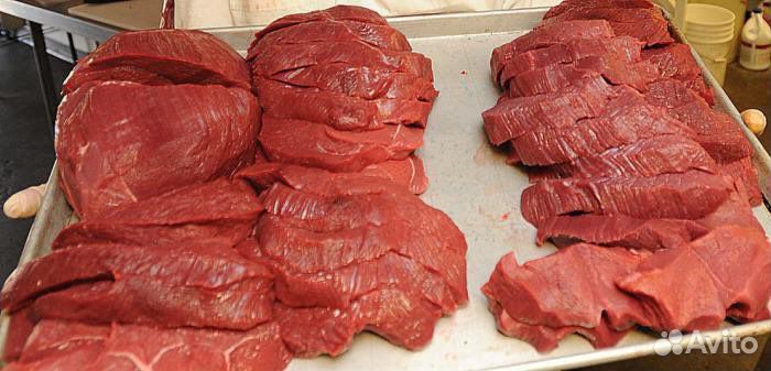 Продам мясо лосятины