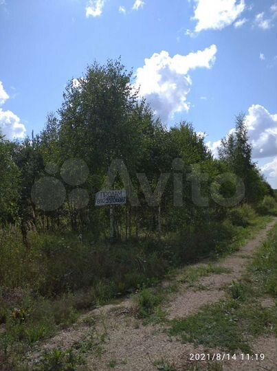 Участок 6,3 сот. (СНТ, ДНП)