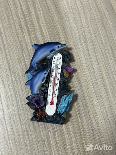 Магнит термометр