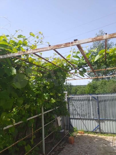 Дом 49 м² на участке 24 сот.