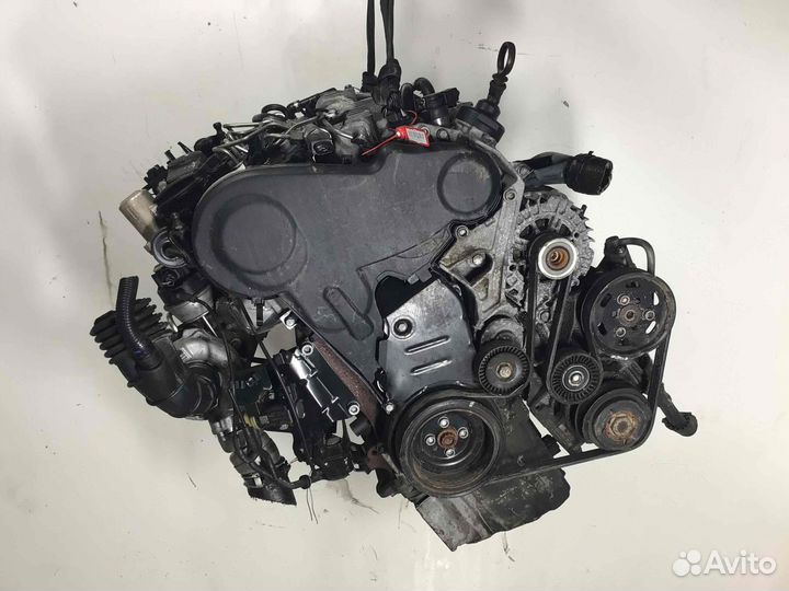 Двигатель Audi A4 caga caga