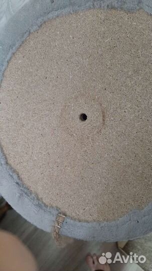 Когтеточка