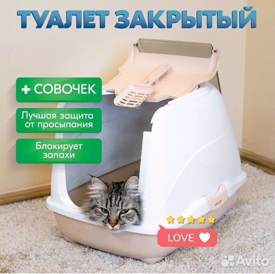 Всё необходимое для котёнка