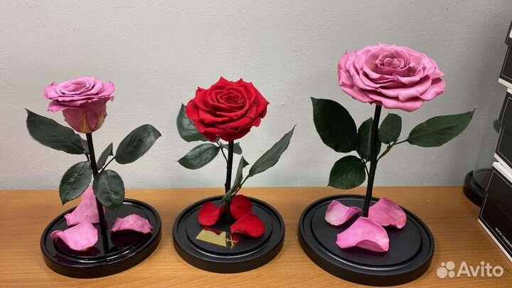 Розы оптом в колбе