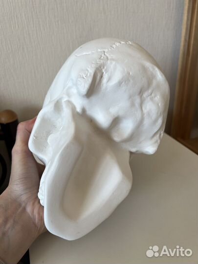 Череп Йорик из гипса