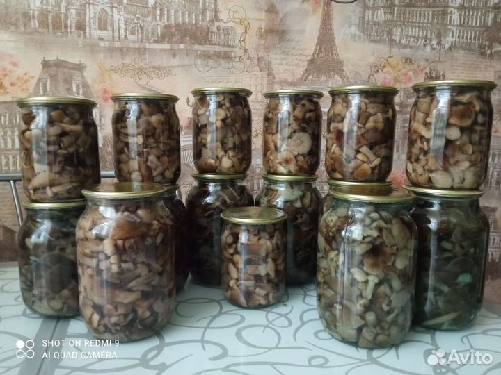 Грибы опята, салаты, варенье, сок