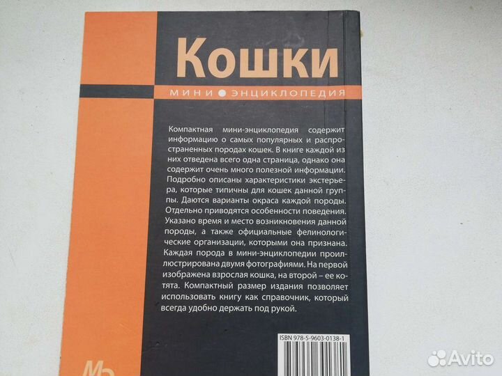 Книга, Кошки