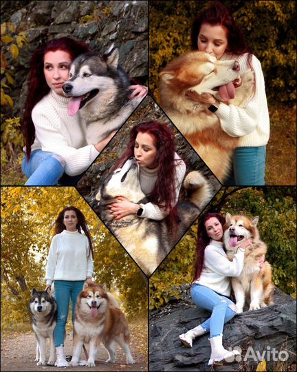 Фотограф, фотосессии