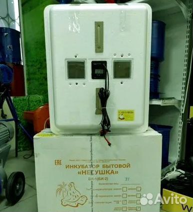 Инкубатор для яиц