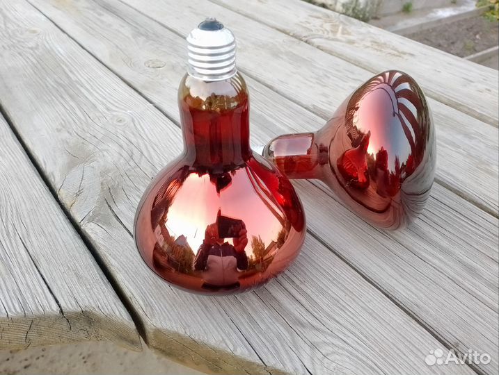 Лампа для обогрева птицы и не только