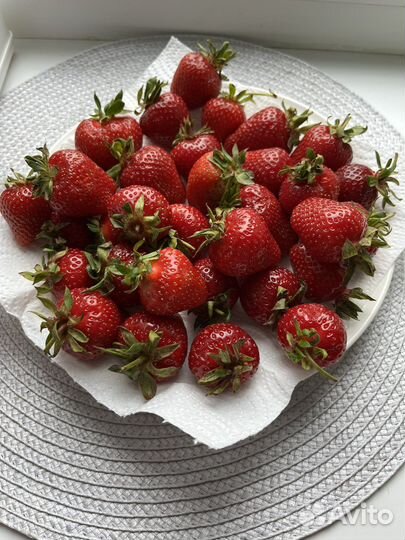 Клубника в шоколаде