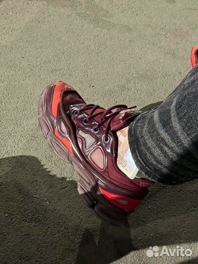 Adidas raf simons ozweego 3 burgundy