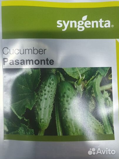 Семена Огурец Пасамонте 500с