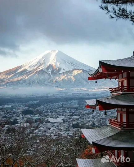 Доставка из Японии