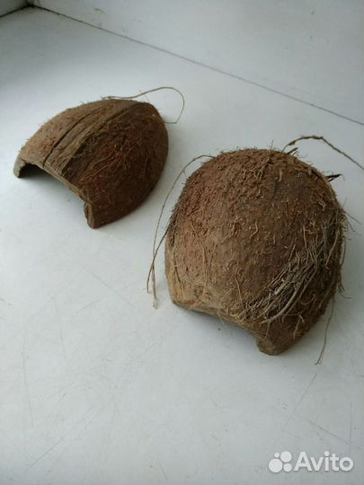 Кокосы, пещеры для рыбок