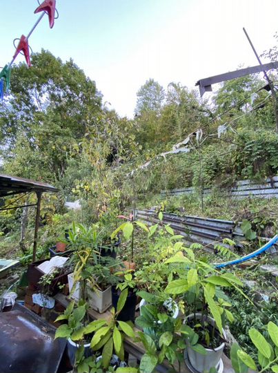 Дом 40 м² на участке 6,5 сот.