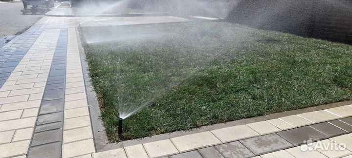 Посевной газон