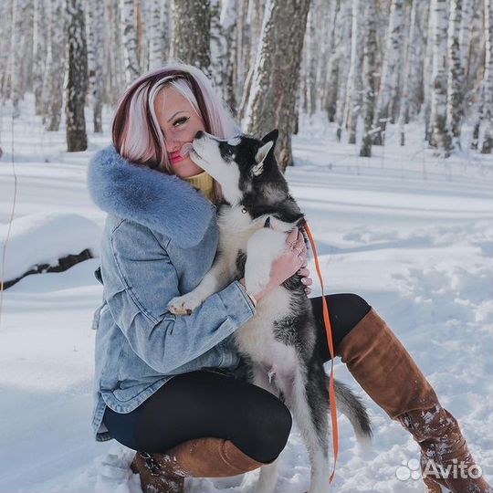 Детский день рождения за городом, прогулка с Хаски