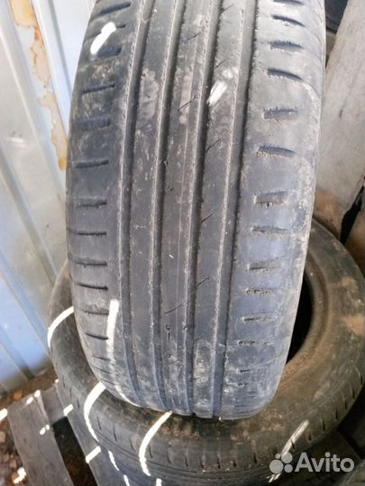 Cordiant Polar 205/55 R16