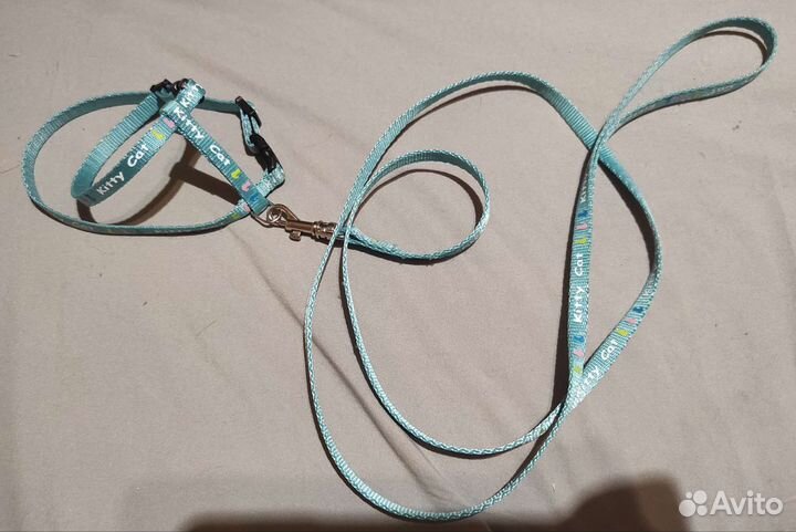 Шлейка для котенка