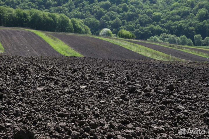 Купить грунт наавоз доставка