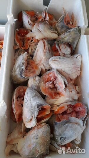 Корма для животных