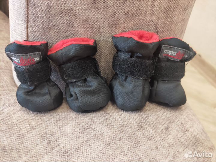 Ботинки для собак мелких пород